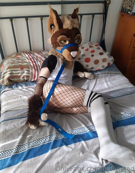 neflynxad schöne porno foto