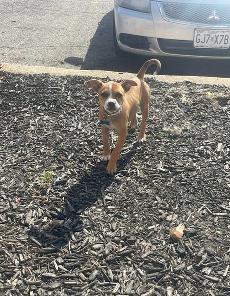 books withaeri perfekte porno archiv