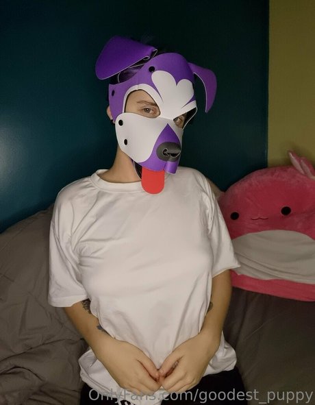 goodest puppy kostenlose schöne foto