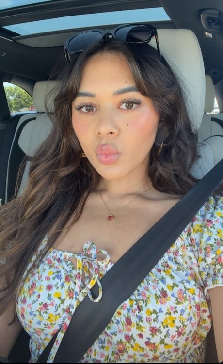 Chellchee top pornographische galerien