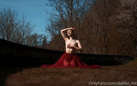 Dahlia Rex xxx top bilder