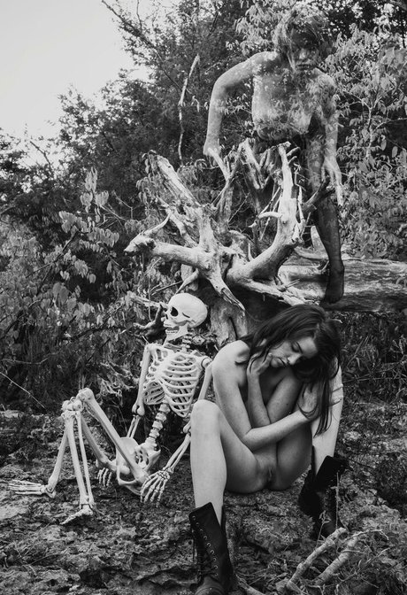 starshroom hübsche freie bilder