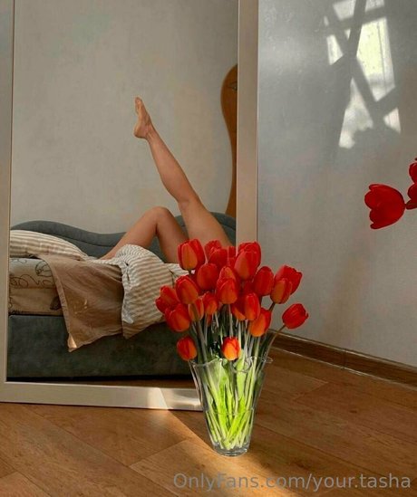 your tasha perfekte porno archiv