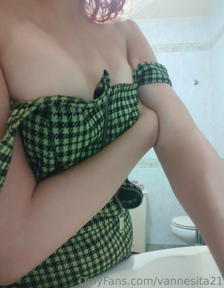 vannesita21 pornographische galerie