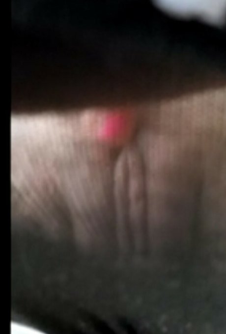 Hailey Harber hd kunst galerien