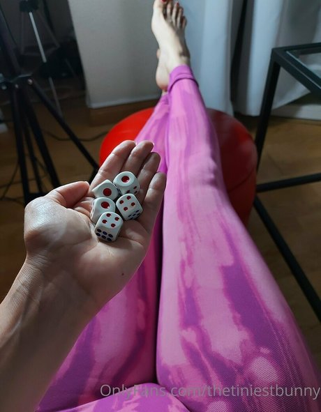 thetiniestbunny top perfekte bilder