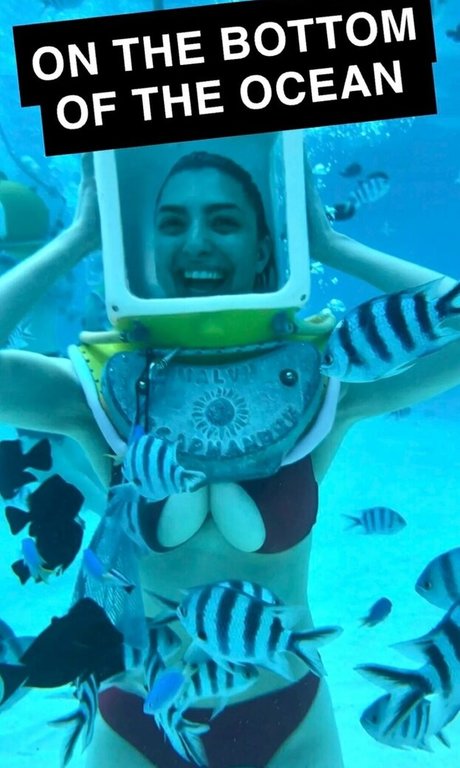 Rachel Levin erotische pornografische archiv