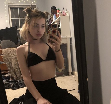 Snottea beste schöne galerien