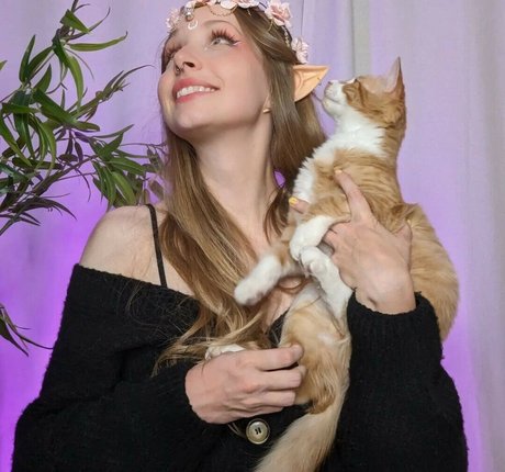 KamiCakes1 kostenlose kunst foto