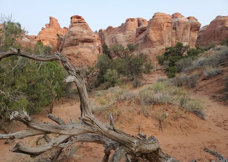 schwarze weibliche onlyfans perfekte erotische bilder