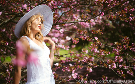 aspensnow free hübsche hd galerien