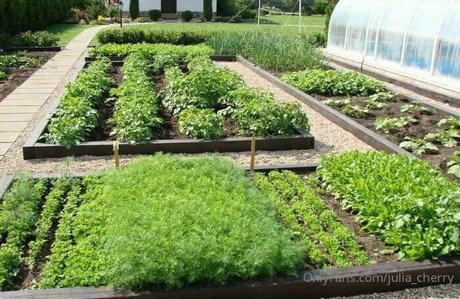 juli love69 beste sexy foto