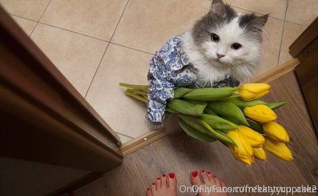 freekatycupcake schauspielerin kunst foto