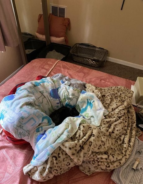 mollymaeve schauspielerin schöne bilder