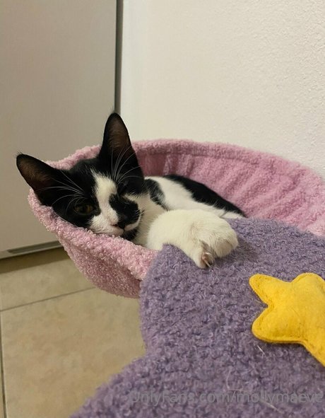 dreier mit großen titten nur fans kunst nackt bilder