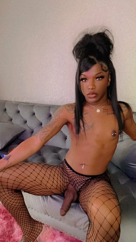 tslariyadior beste hübsche bilder