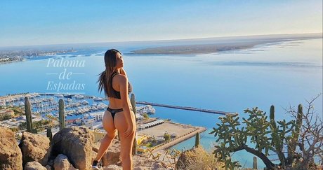 paloma de espadas free model hd archiv