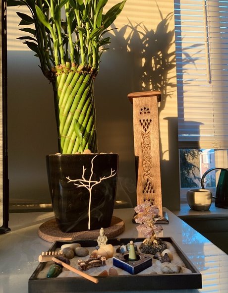 cutestonergirl01 model nacktheit bilder