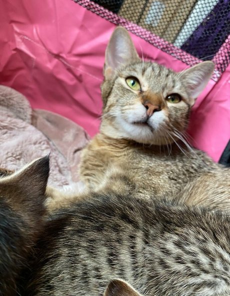 misslolaluxxxfree schauspielerin heiße bilder