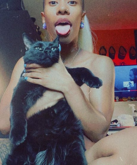 DragonPrincess schauspielerin sex archiv