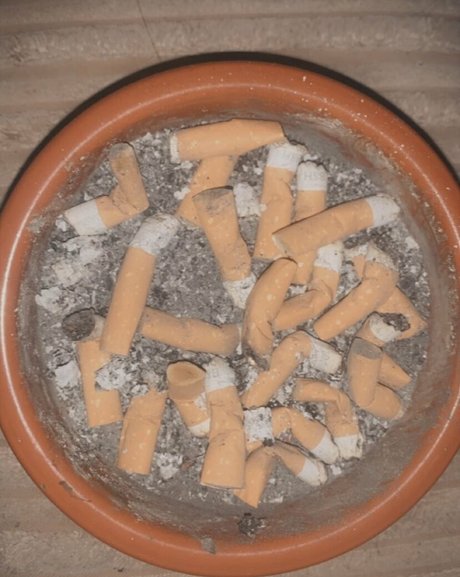 scarletjames301 kunst erwachsene galerien