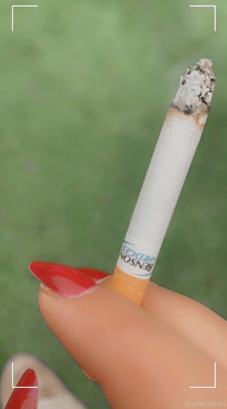 scarletjames301 Bilder