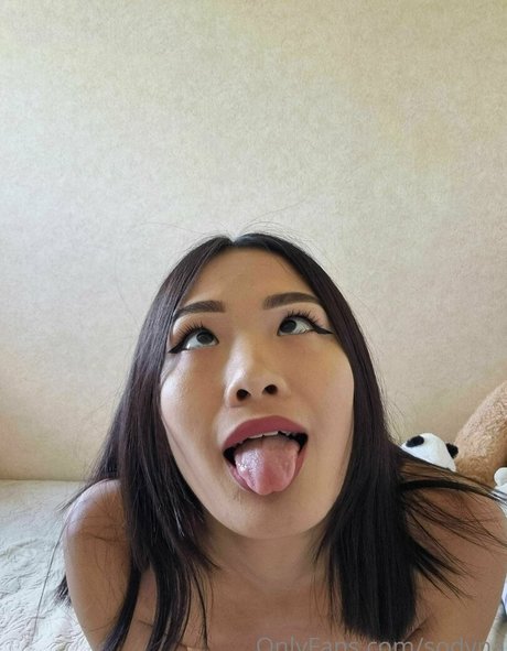 sodyna perfekte top galerien