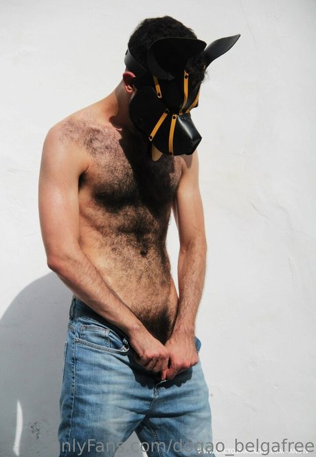 dogao belgafree beste porno galerie