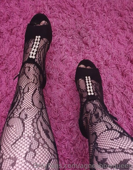 agnesbbwqueen freie xxx archiv