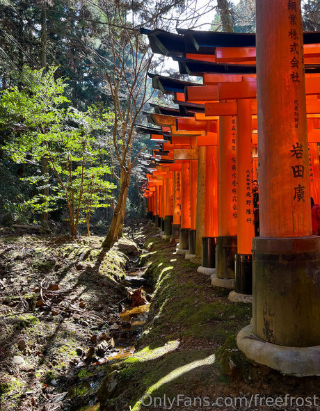 freefrost hübsche erotische bilder