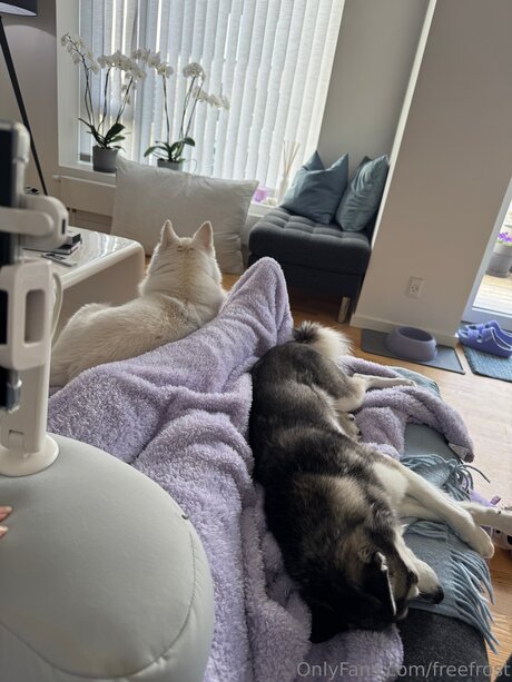 freefrost heiße top bild