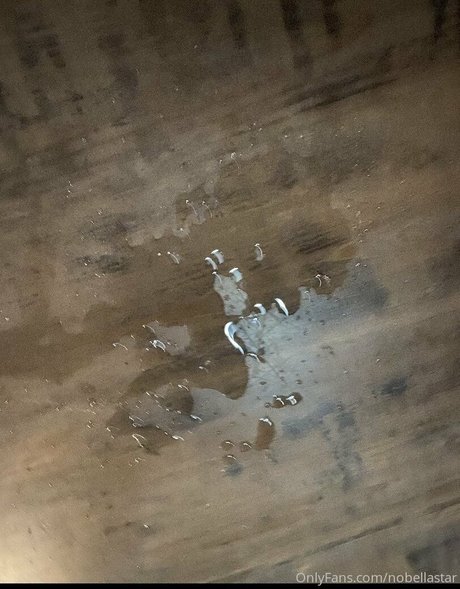 nobellastar Profilbild