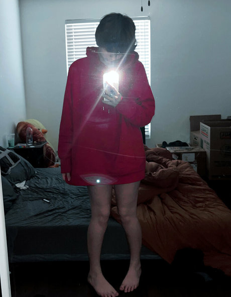 officialwybielo top freie fotos