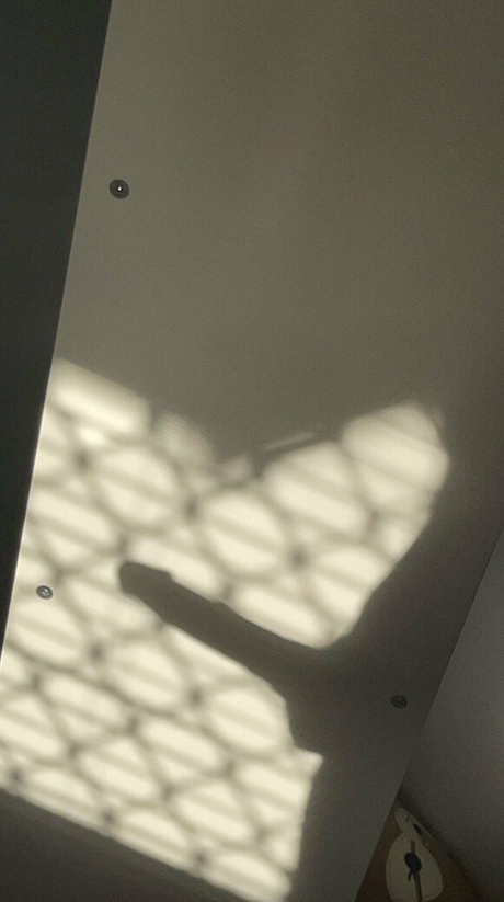 chriscahill erotische kostenlose galerie