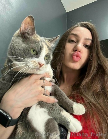 webcam-mädchen nur fans perfekte pornografische galerie