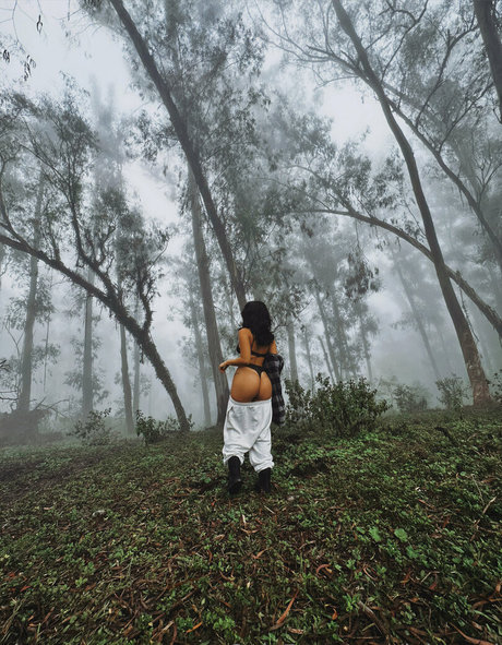 loi need kostenlose erwachsene bild