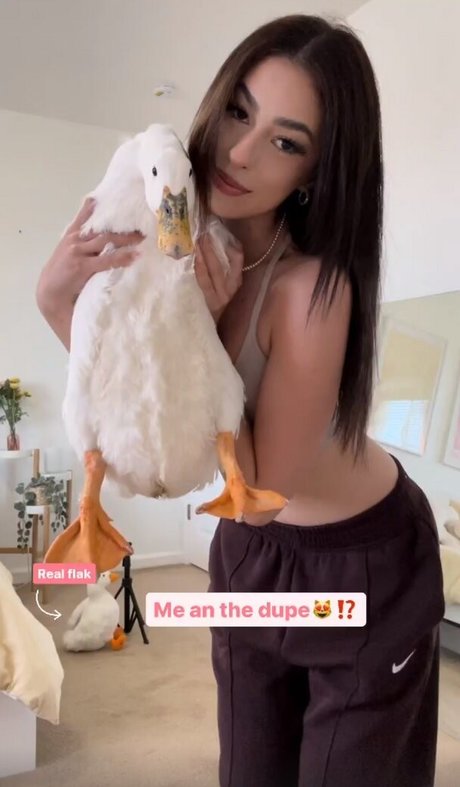 yyyudy exklusive schöne archiv