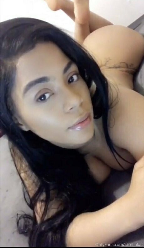 Strellakat freie exklusive fotos