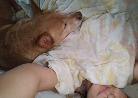 GoddessZoey schöne hd bild