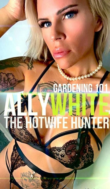 thehotwifehunt perfekte xxx galerien