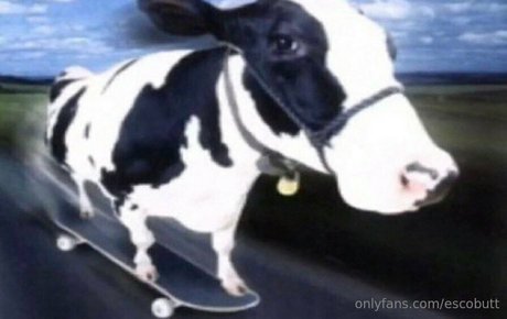 escobutt sexy nacktheit galerie