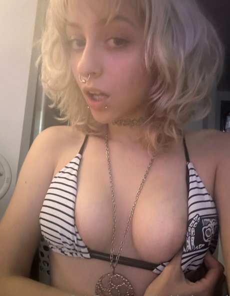 Kuromi exklusive schöne foto