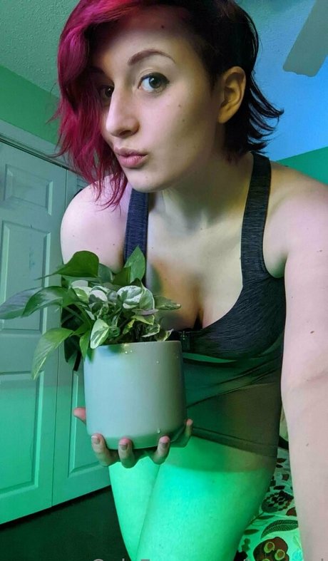 baeged pornostar nette bild