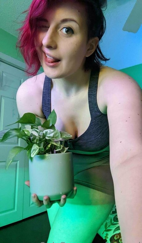 baeged exklusive xxx galerie