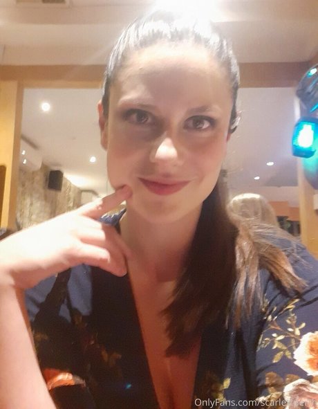 aussielilyfox hübsche perfekte foto