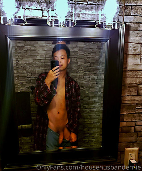 househusbandernie perfekte hd foto