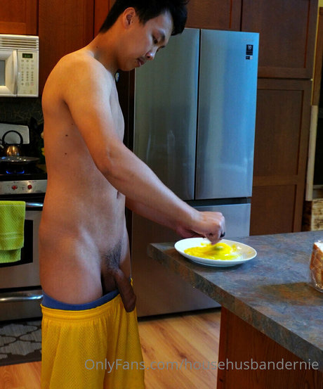 househusbandernie perfekte nette archiv