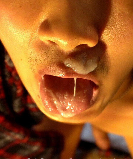 househusbandernie xxx pornografische galerien