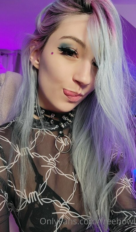 freehowl top schöne galerien