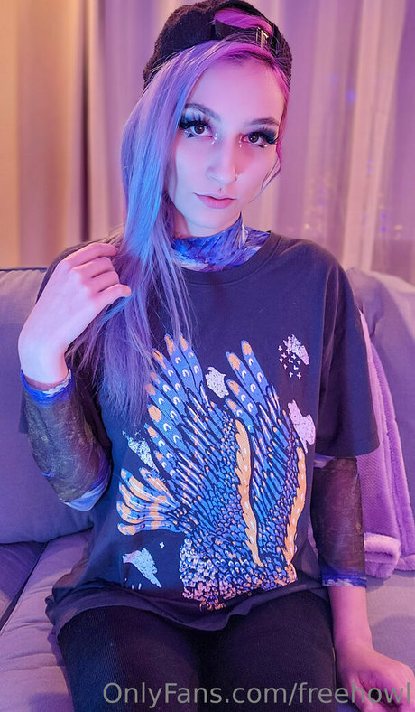 freehowl kunst schöne galerie